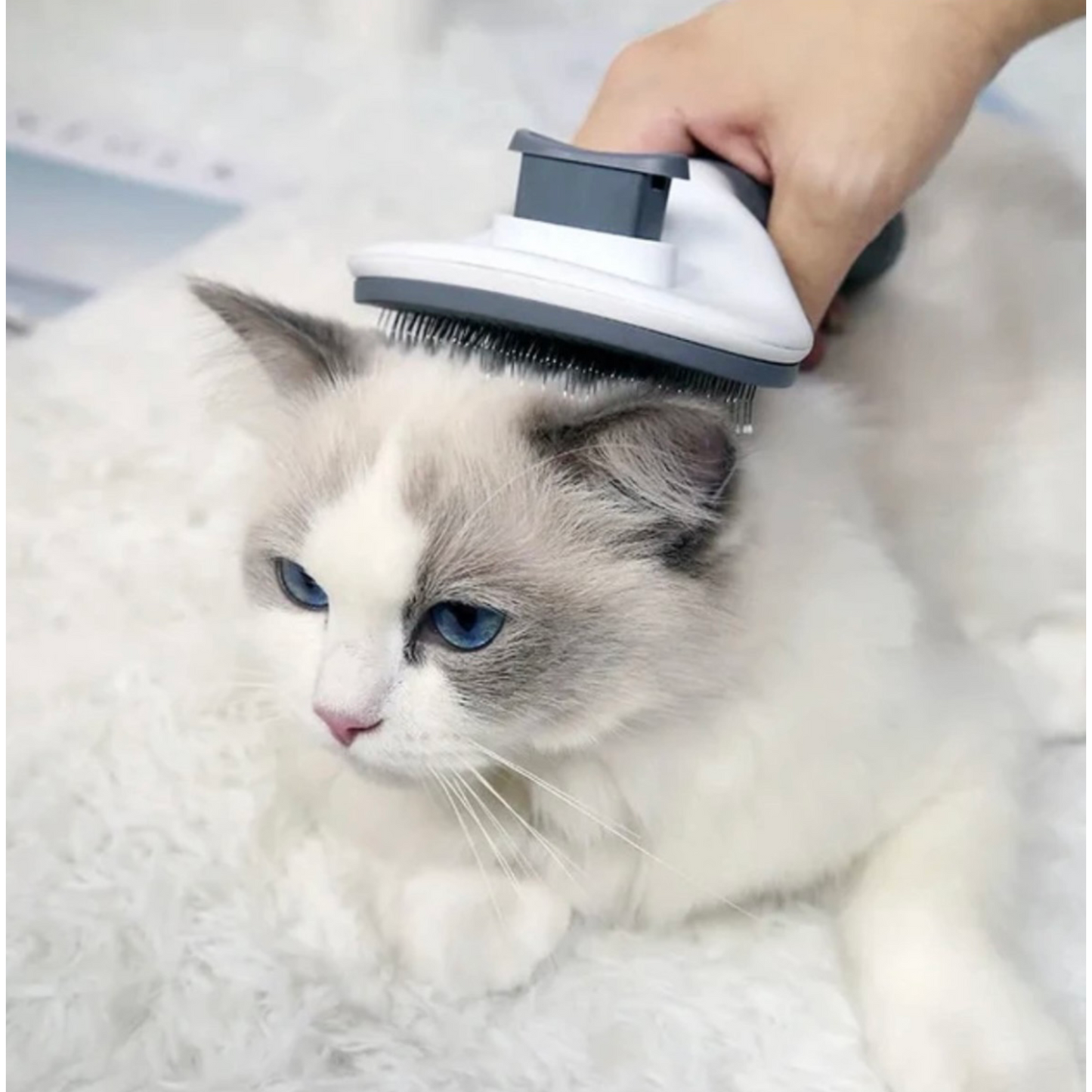 Cat and Dog Brush - Pet Hair Remover